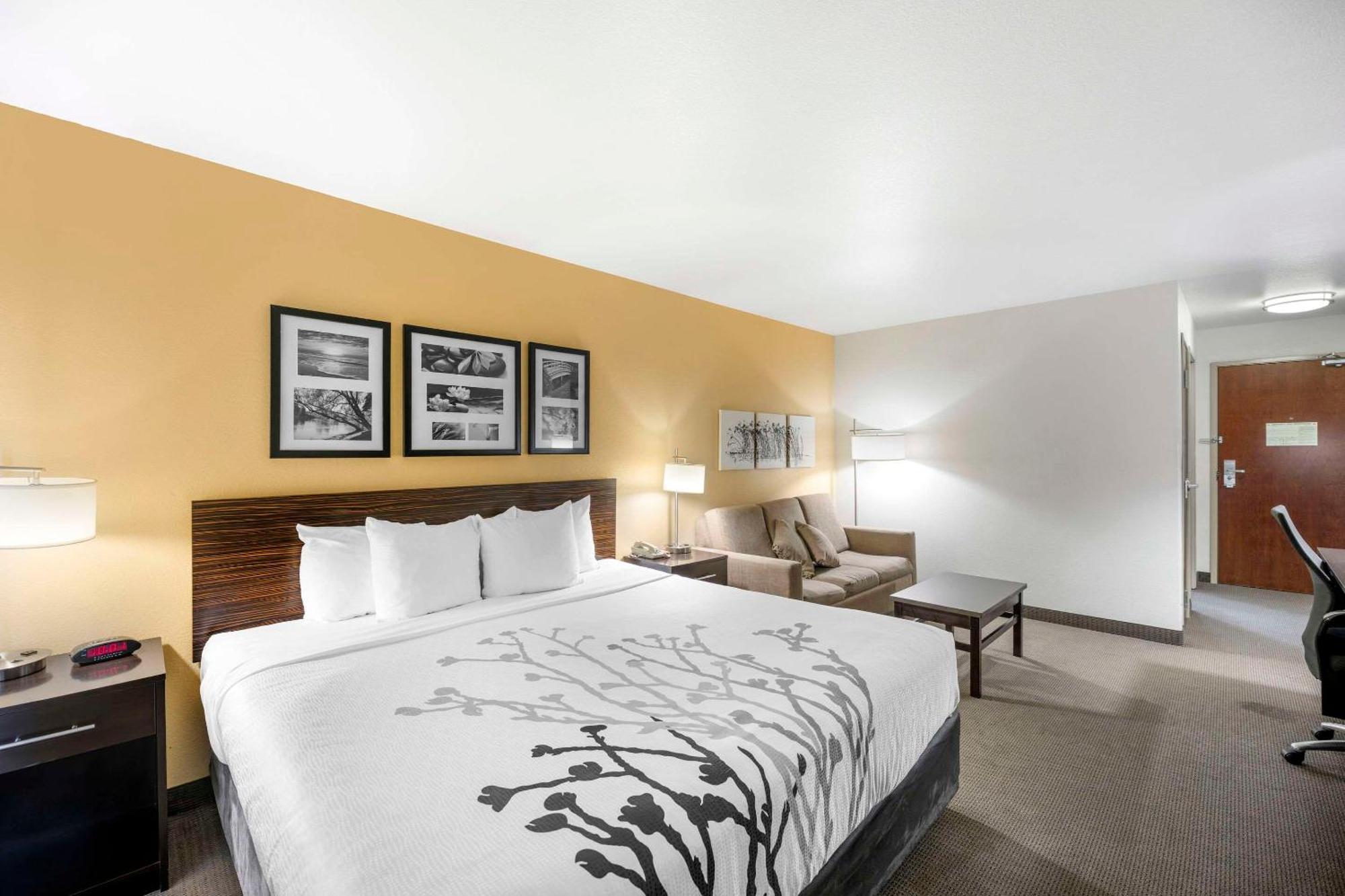 Sleep Inn & Suites Carlsbad Caverns Area Extérieur photo
